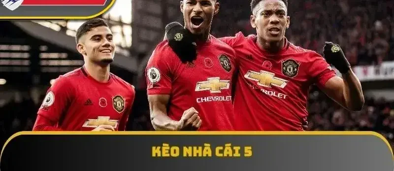 Có nên theo kèo nhà cái 5 hay chọn kèo từ nhà cái quốc tế uy tín hơn?